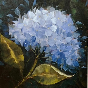 DEEP CANVAS PRINT- Moonbeams-10 x 12 inch Deep Canvas Print. Hydrangea print, Blue hydrangea, Cathy Lewis Painting.