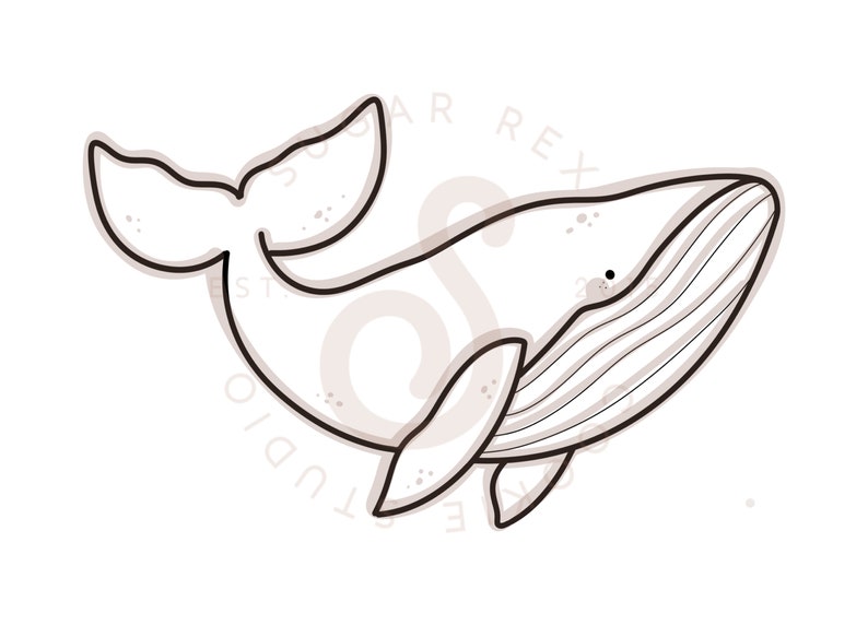 Op de afbeelding: Een zwart-witte lijntekening van een walvis in een eenvoudige, cartoonachtige stijl. De walvis zwemt naar rechts en heeft een klein oog en een mond.