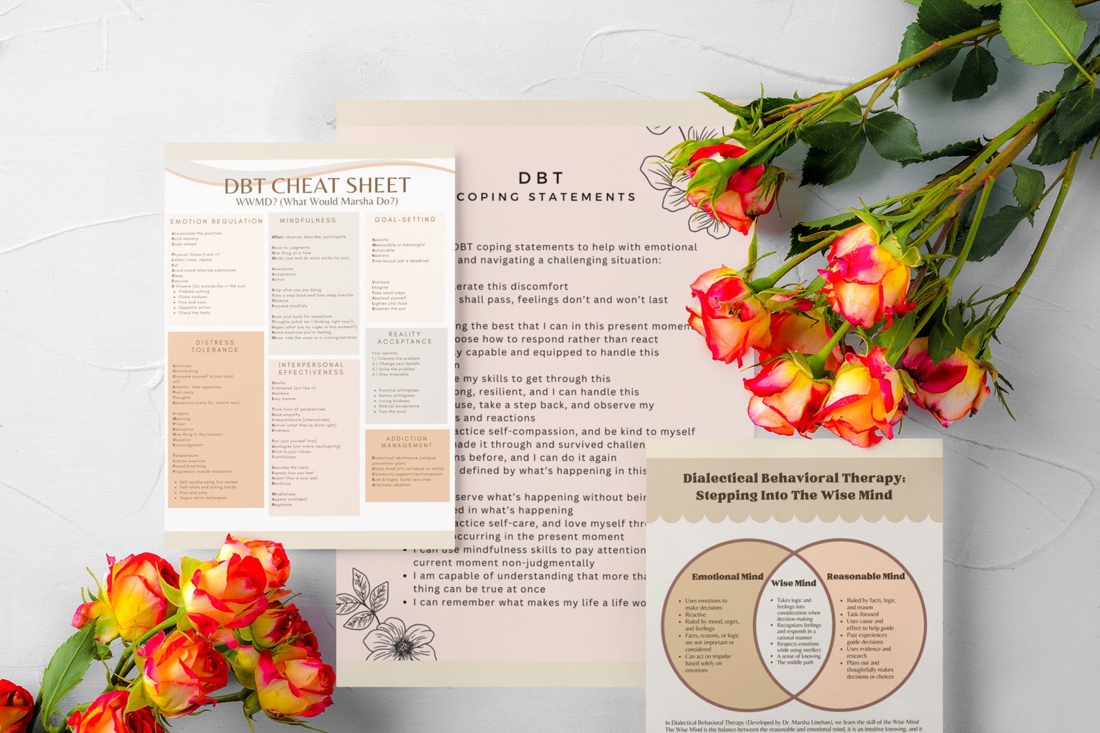 DBT Bundle - Etsy
