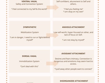 Attachment Styles Through The Polyvagal Ladder Lens; Polyvagal Theory; Attachment Work; Attachment Theory; Trauma Recovery; Trauma Healing