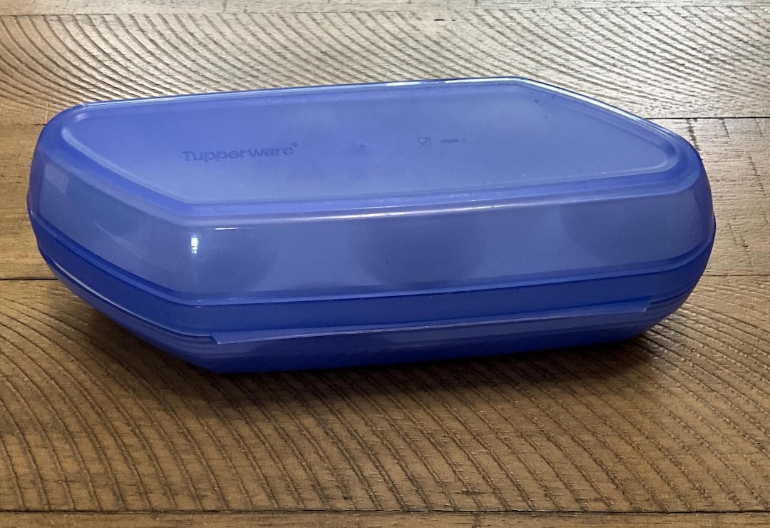Tupperware Eierbox Aufbewahrungsbehälter Hält 6 Eier Camping Wandern RV Küche 3026 3025 Blau
