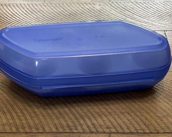 Tupperware Egg Carrier Box Storage Container Holds 6 Eggs Camping Hiking RV Kitchen 3026 3025 Blue