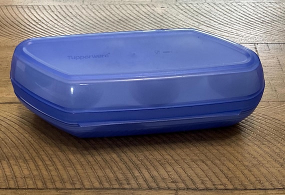 Tupperware Eierbox Aufbewahrungsbehälter Hält 6 Eier Camping Wandern RV Küche 3026 3025 Blau