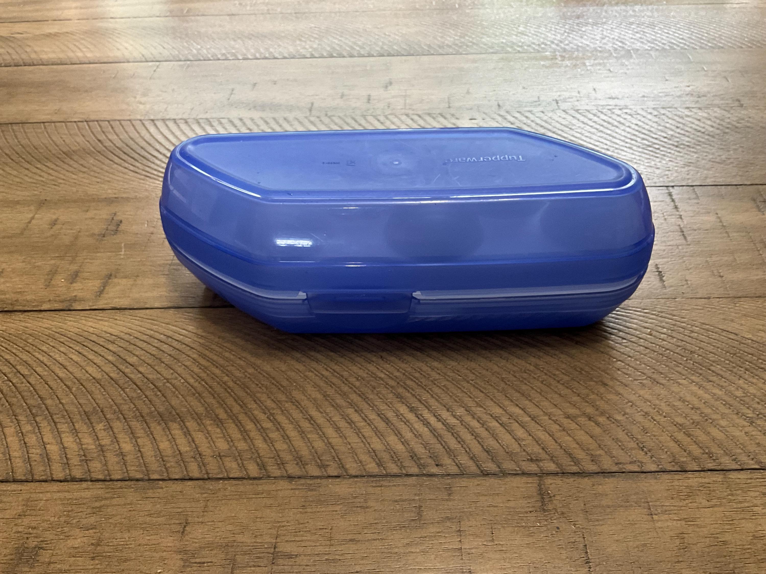 Tupperware Eierbox Aufbewahrungsbehälter Hält 6 Eier Camping Wandern RV Küche 3026 3025 Blau