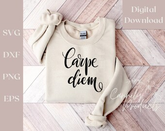 Carpe Diem digital download file for children's outfit or women's shirt, cricut or sublimation compatible cutout file, seize the day quote