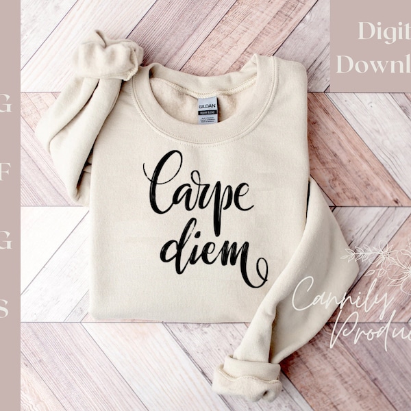 Carpe Diem digital download file for children's outfit or women's shirt, cricut or sublimation compatible cutout file, seize the day quote