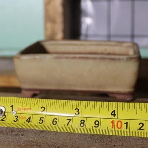 May include: A beige rectangular bonsai pot with a yellow measuring tape showing a measurement of 4 inches. The pot is on a wooden surface. The background includes a wooden frame and a light green wall.