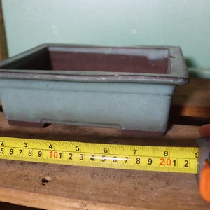May include: A rectangular bonsai pot in a muted teal color, with a dark brown interior. The pot is approximately 8 inches long. The pot is sitting on a wooden surface.