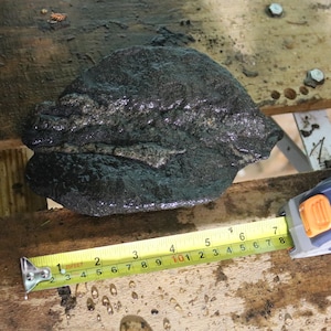 May include: A dark, textured object, possibly a rock or mineral, is shown with a measuring tape. The tape reads up to 8 inches. The object is on a wooden surface.