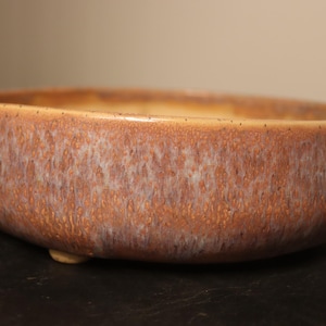 May include: A low, round ceramic bowl with a speckled, textured surface. The bowl has a reddish-brown color with white and tan accents. The bowl is likely used for serving food or as a decorative piece.