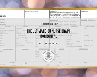 Le cerveau ultime des infirmières en soins intensifs : horizontal
