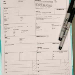 ICU Day Shift 4 Nurse Brain: Vertical