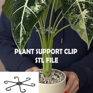 May include: A potted plant with large, dark green leaves with white veins and speckles. The plant is supported by a clear plastic clip. The text "PLANT SUPPORT CLIP STL FILE" is displayed. A black metal plant support is shown.