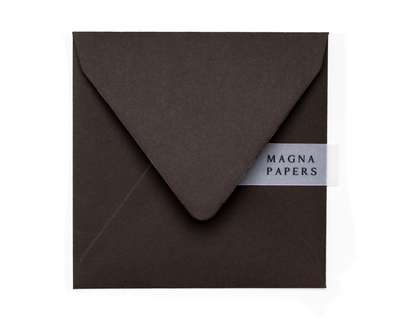 May include: A dark brown envelope with a white label that says "MAGNA PAPERS".