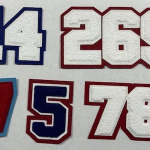 以下が含まれることがあります： 14、269、7、5、78の数字が書かれたフェルトパッチ6枚。数字は白で、赤または青のアウトラインがあります。パッチは衣服に縫い付けるためです。