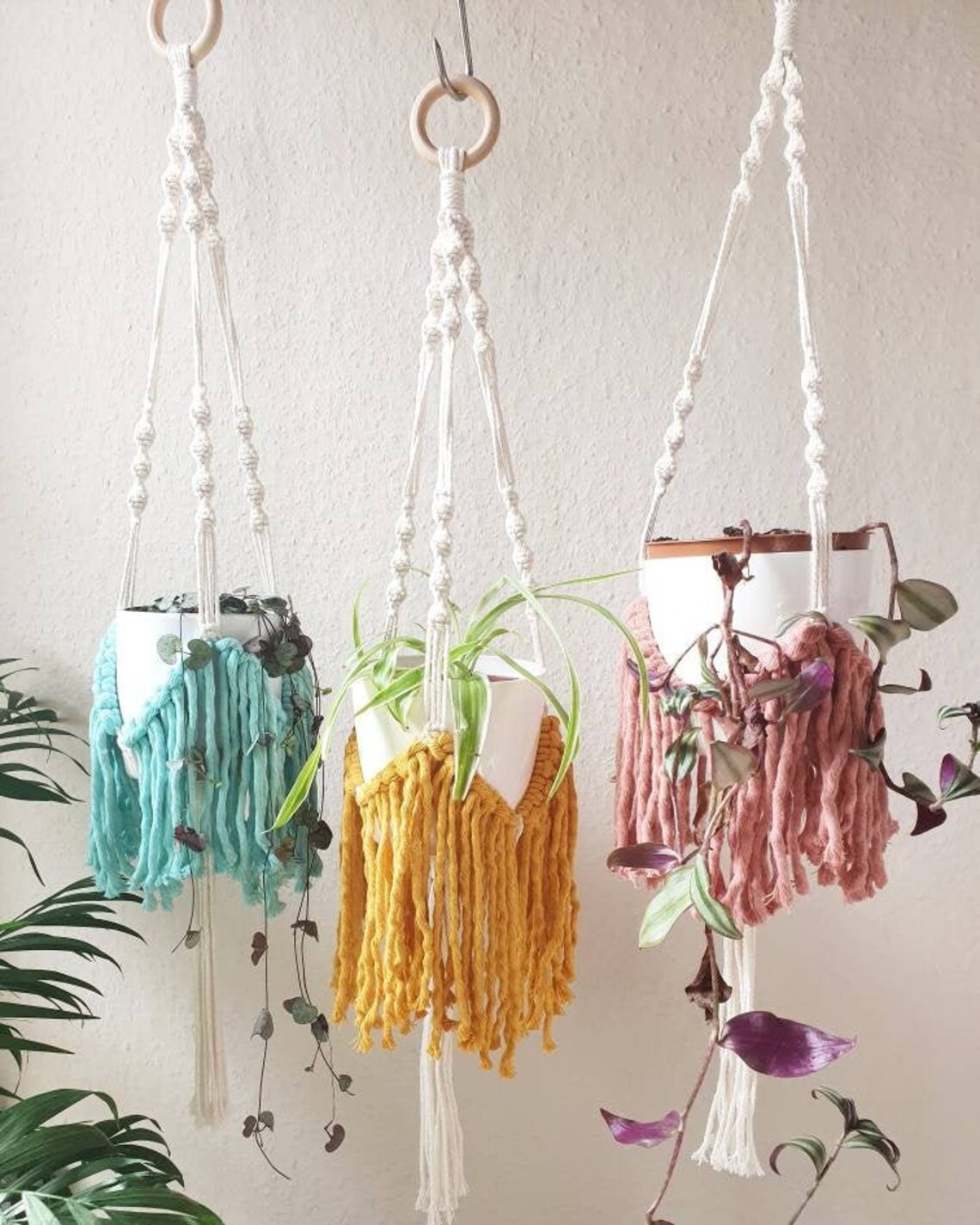 TRIBAL: Perchas de plantas naturales con un toque de color en | Etsy