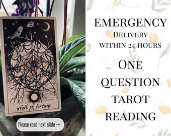 One Question Tarot Reading - Emergency Delivery Within 24 Hours