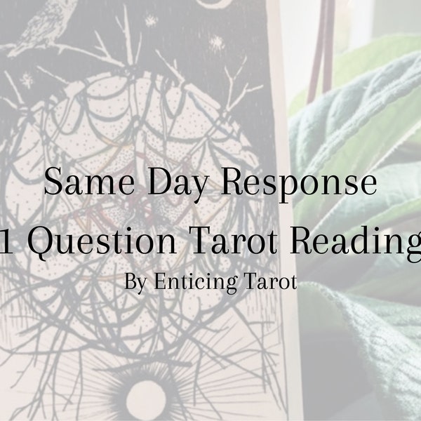 Same Day 1 Question Tarot Reading. Fast 24 Hour Delivery - Ask Anything! Love, Career, Money…