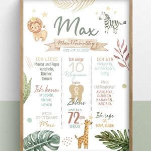 K&ouml;nnte beinhalten: Eine Aquarell-Illustration eines Dschungel-Themas f&uuml;r den ersten Geburtstag eines Babys namens Max. Das Poster zeigt einen L&ouml;wen, ein Zebra, eine Giraffe und einen Zahn mit der Zahl 8 darauf. Das Poster enth&auml;lt den Namen des Babys, das Geburtsdatum, das Gewicht, die Gr&ouml;&szlig;e und die Lieblingsessen. Der Text auf dem Poster lautet: "Max, Mein 1. Geburtstag, Geb. 07.12.2020, Ich wiege 10 Kilogramm, habe 8 Zahne, und bin 72cm gro&szlig;, Ich liebe Mama und Papa kuscheln, B&uuml;cher, tanzen, Ich kann krabbeln, stehen, winken, Mein Spitzname Maxi, Ich bin neugierig, aufmerksam, lustig, Mein Lieblingsessen Avocado, Gurken, Bananen, Brezel, Ich sage Da, Mam, Bubba."