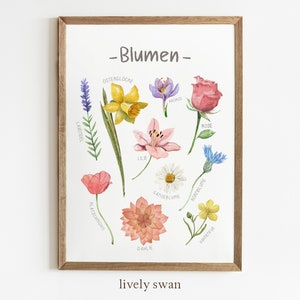 Blumenarten Poster, Kinderzimmer, Kinderposter, Wandbild Kinderzimmer #190