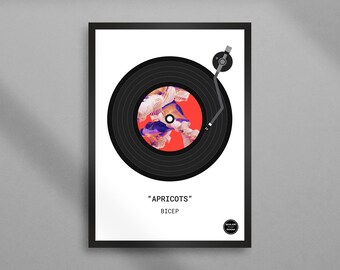 May include: A framed art print featuring a black vinyl record design with a red center and abstract artwork. The print includes the text "APRICOTS" and "BICEP" in white, with a small logo at the bottom.