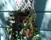 Macrame Plant Hanger, Diamonds