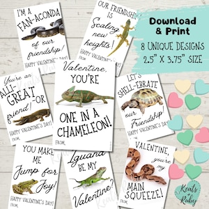 May include: A collection of eight Valentine's Day cards with animal puns. Each card features a different reptile or amphibian, such as a snake, chameleon, or frog, with a punny message. The cards are 2.5" x 3.75" in size.