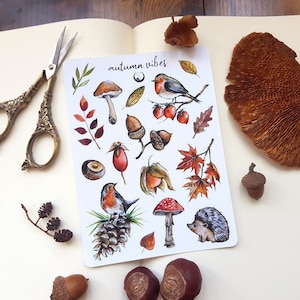Könnte beinhalten: Eine Blatt mit Aufklebern zum Thema Herbst. Die Aufkleber zeigen Illustrationen von Pilzen, Eicheln, Blättern, einem Rotkehlchen, einem Igel und einer Kiefernzapfen. Der Text "autumn vibes" ist oben auf dem Blatt gedruckt.