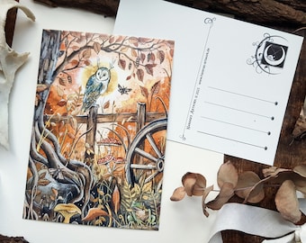 Postcard owl, hybrid, barn owl with antlers, owl antlers, autumnal, frog, illustration, Harena's Artwork