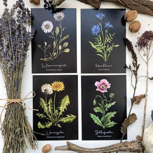 Ensemble de cartes postales aux herbes - fleurs, herbes sauvages, fleurs sauvages, marguerite, bleuet, pissenlit, pavot à opium, nature illustrée, oeuvre de Harena