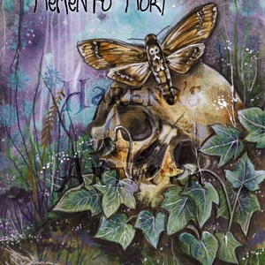 May include: A watercolour painting of a skull with a moth perched on top. The skull is surrounded by green leaves and the background is a purple and blue watercolour wash. The text "Memento Mori" is written in black at the top of the image.