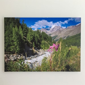 Carte postale Nature Suisse A004