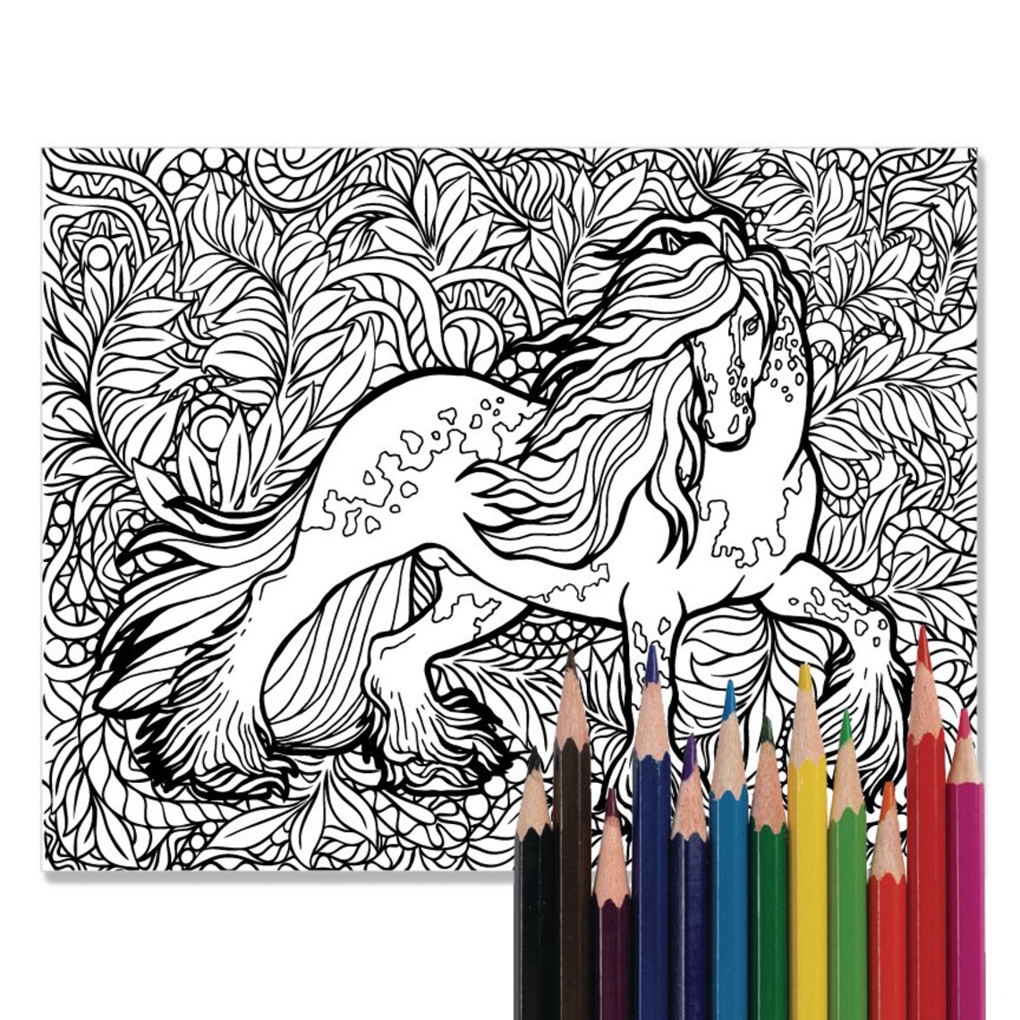 Horse Coloring Page Coloring for Adults Coloring for Kids  Etsy