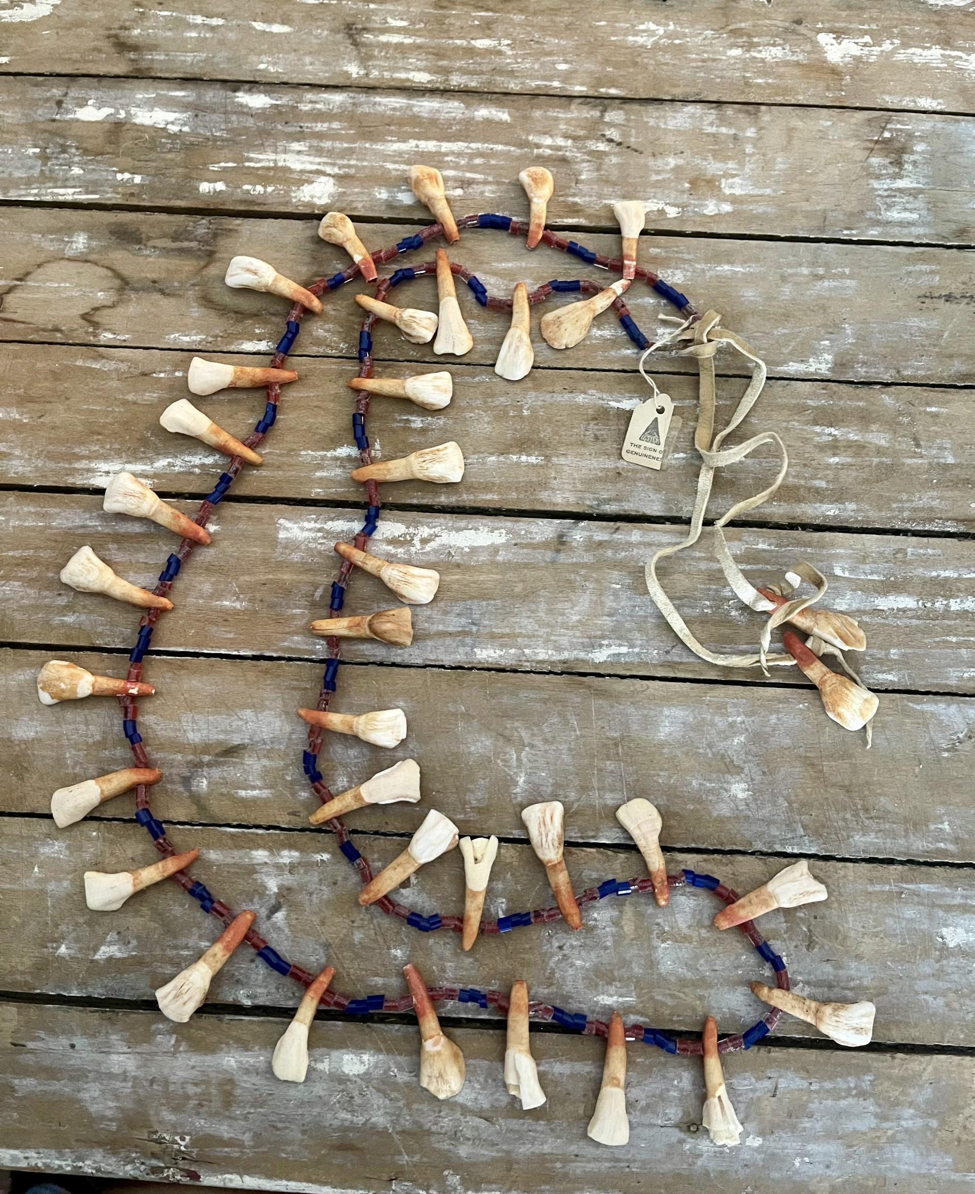 Rare Find, Vintage, Hand Made, Real Buffalo/American Bison Tooth Necklace, accented w Glass Beads