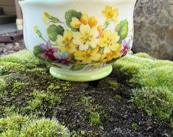 Royal Albert China, Norcrest, sucrier/bol, motif Primulette