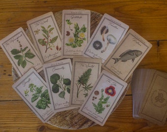 The Alchemists Garden - Plant Tarot (Organic, Vintage, Botanic with Book)