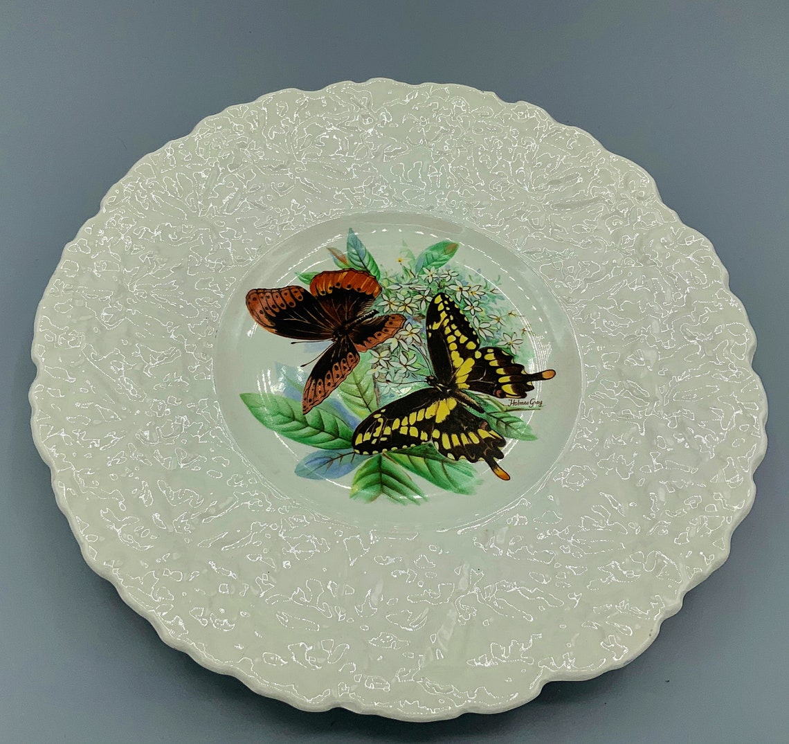 Butterflies of the World Plate by Holmes Gray Royal Cauldon Etsy