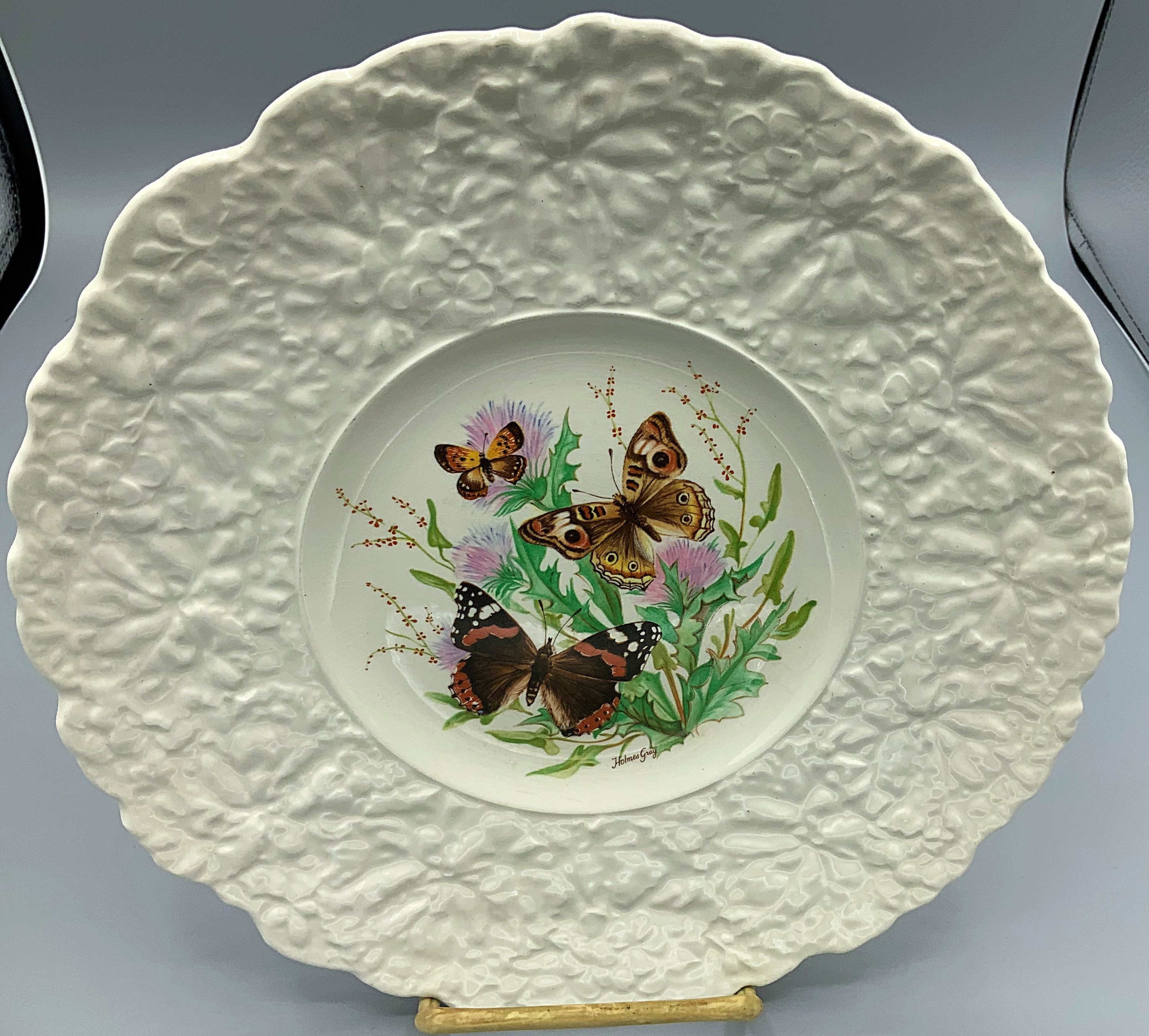 Butterflies of the World plate Holmes Gray Royal Cauldon Etsy