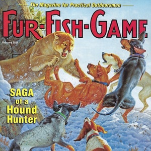 Fur Fish Game 