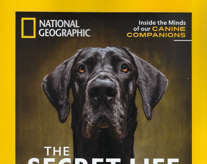 National Geographic Special / the Secret Life of Dogs 2024 Etsy