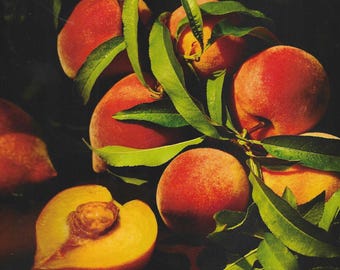 Food & Wine Magazine August 2026: The Art of Summer