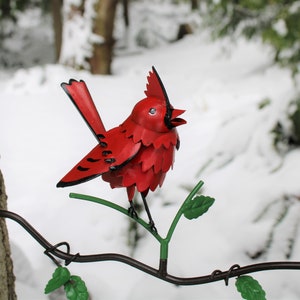 Cardinal on Branch - Garden Home Decor- Wild Bird Art - Gift for Mom - Garden Gift