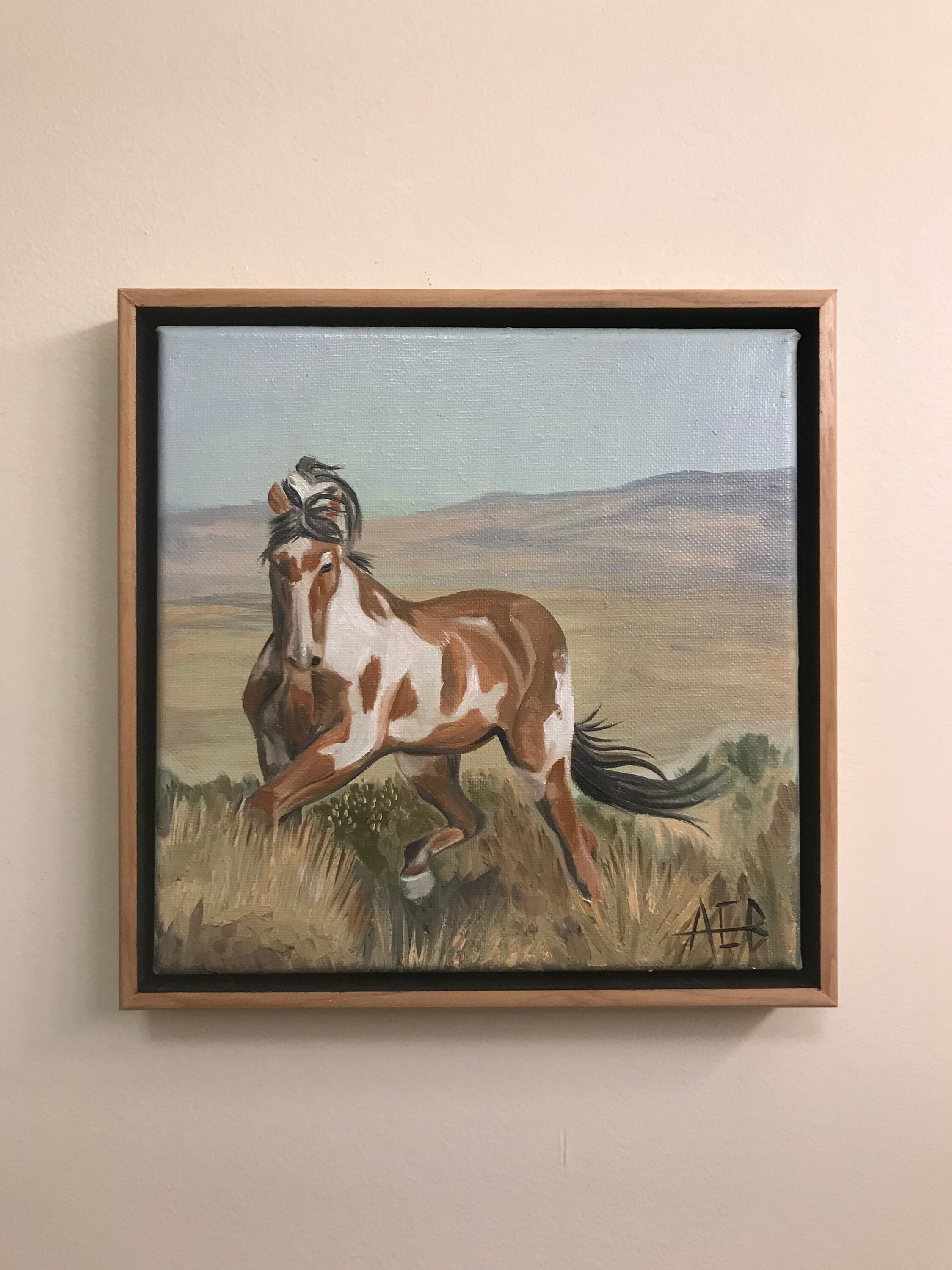 Picasso Wild Horse / 8 x 8 Framed Original Oi Etsy
