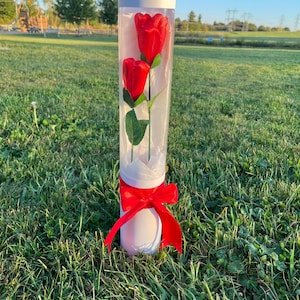 Peut inclure: Un contenant cylindrique blanc avec deux roses rouges à l'intérieur, noué avec un ruban rouge. Les roses ont des tiges et des feuilles vertes. Le contenant est sur un champ herbeux avec des arbres et un ciel bleu en arrière-plan.