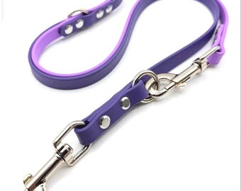 5/8 width biothane guide dog leash/double hook lead