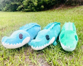 Summer Fun Gators