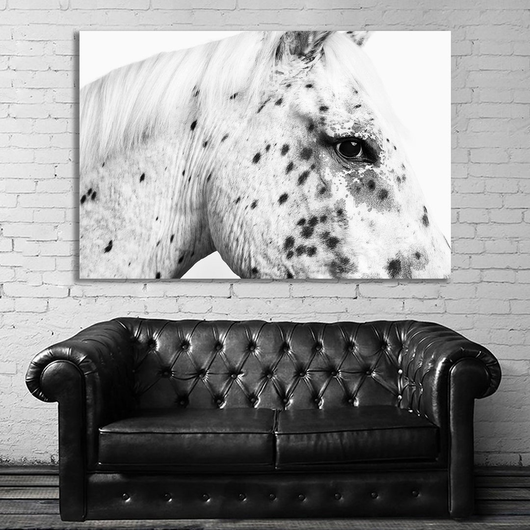 Horse Equestrian Pets Animal Art Poster and Canvas Etsy