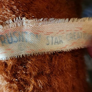 May include: Close-up of a brown plush toy with a tag that reads "PUSH STAR". The plush has long, shaggy fur. The tag is a light beige color with red and blue text.