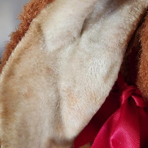 May include: Close-up of a plush toy's ear, featuring a soft, cream-colored interior with subtle brown markings. The ear is framed by brown fur and a vibrant red ribbon, suggesting a festive or decorative item.