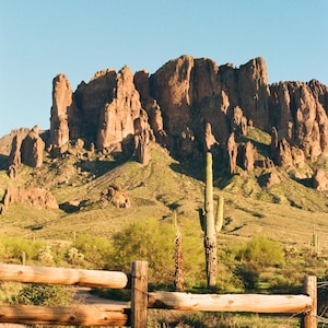 May include: A wooden fence with four horizontal rails in front of a desert landscape with a large rock formation in the background. A tall cactus grows in the foreground.
